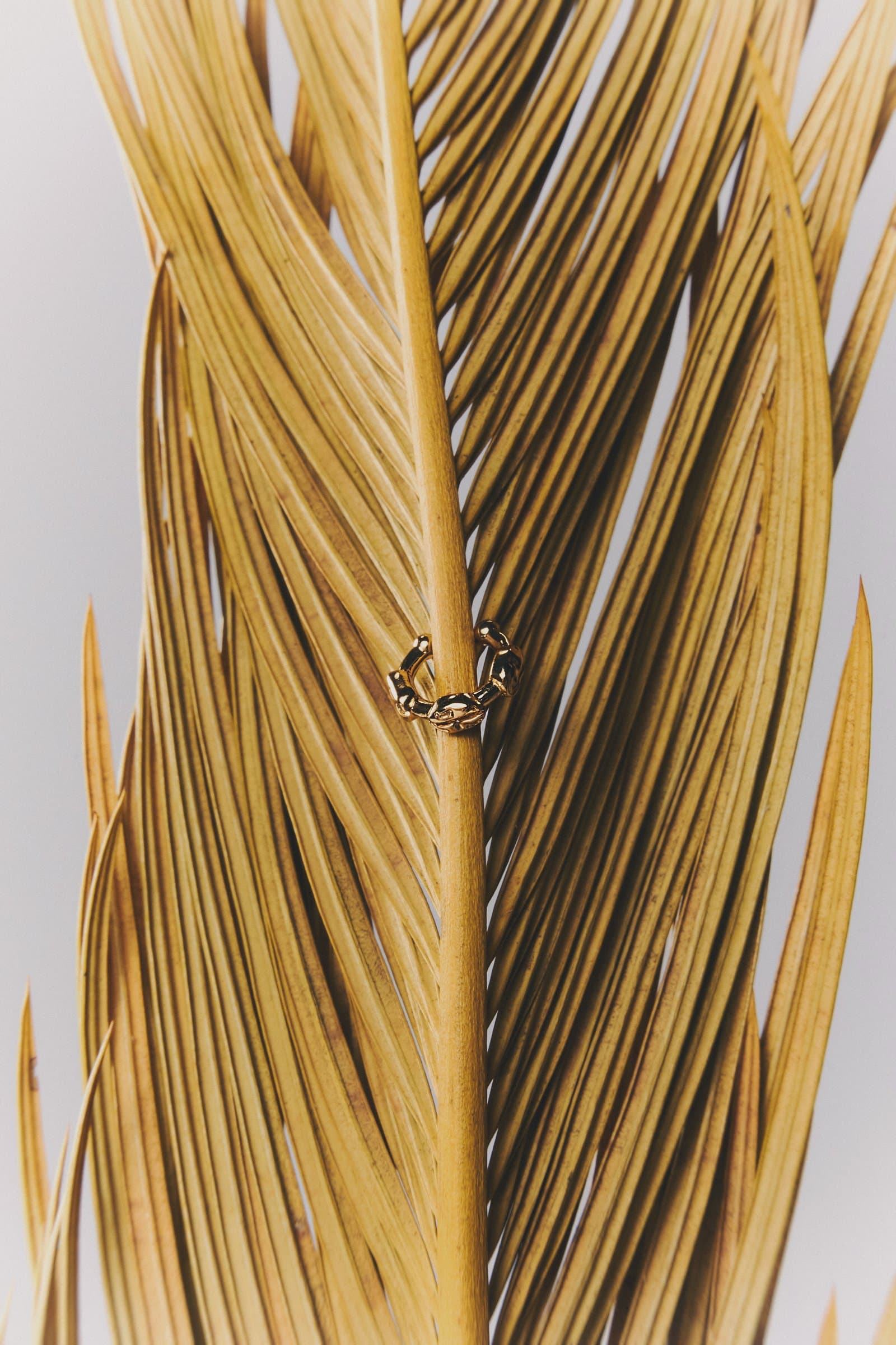 Hoja de palma dorada con anillo