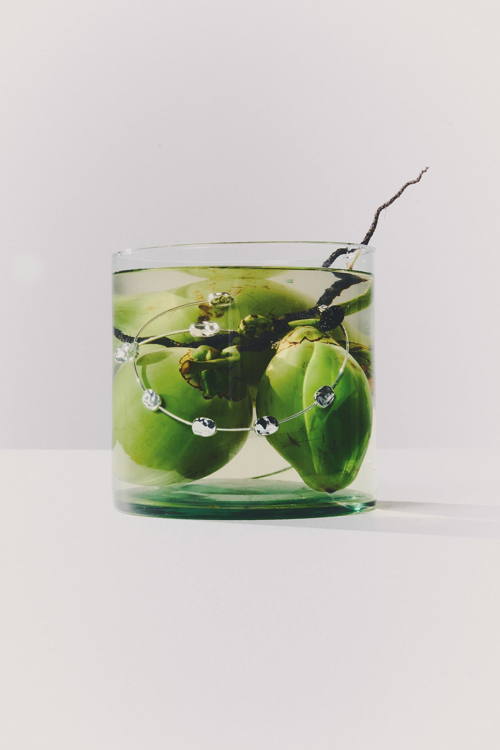 Vaso con limones y ramas