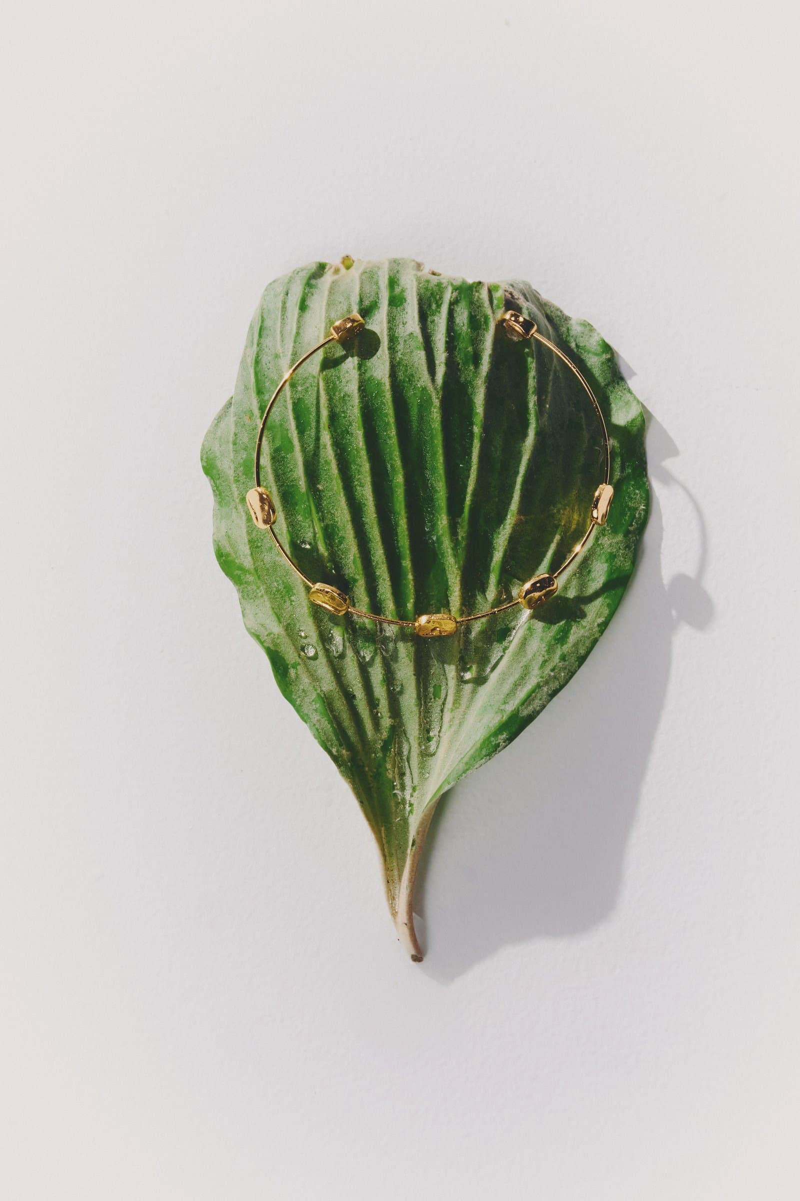 Anillo sobre hoja verde