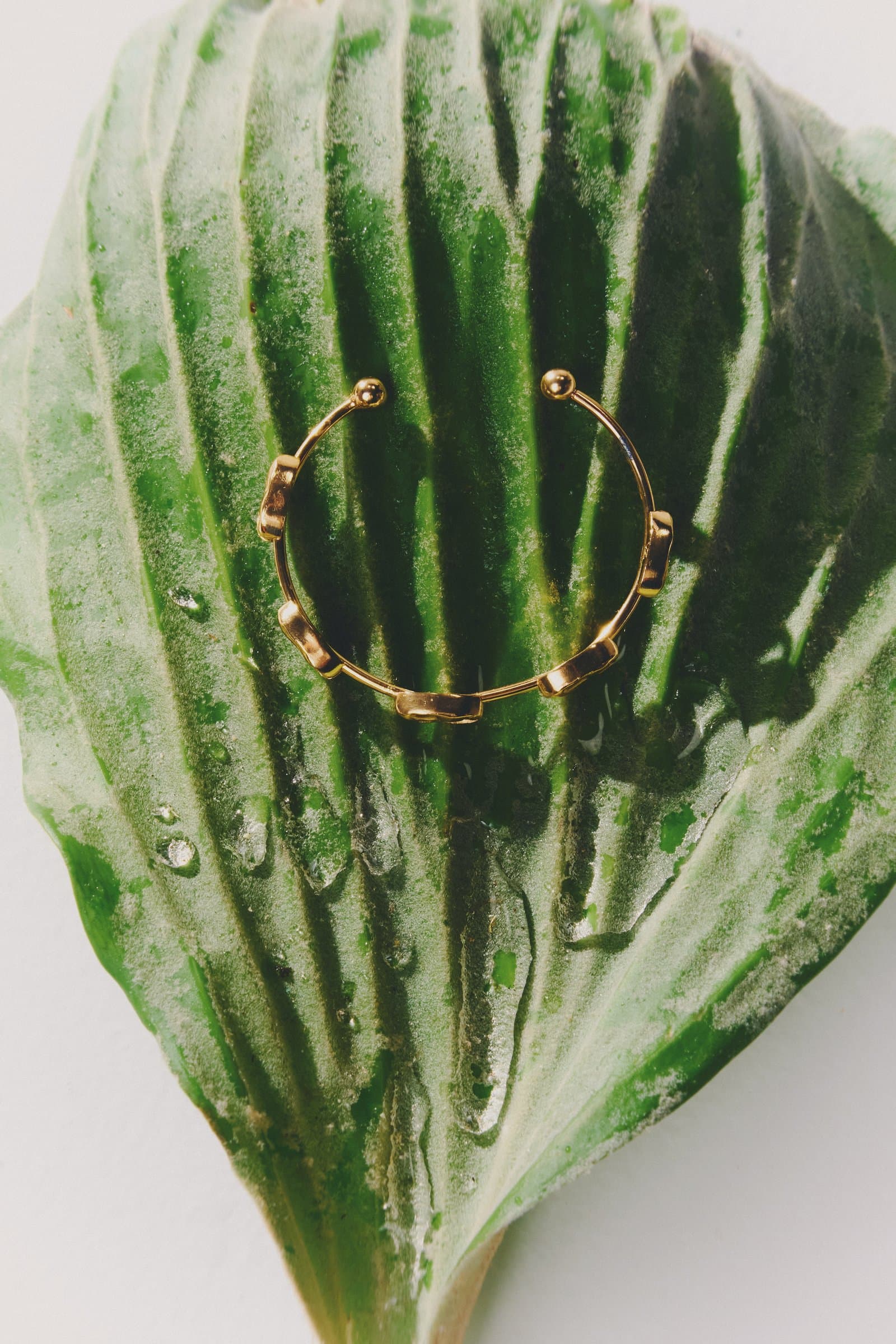 Anillo sobre hoja con gotas de agua