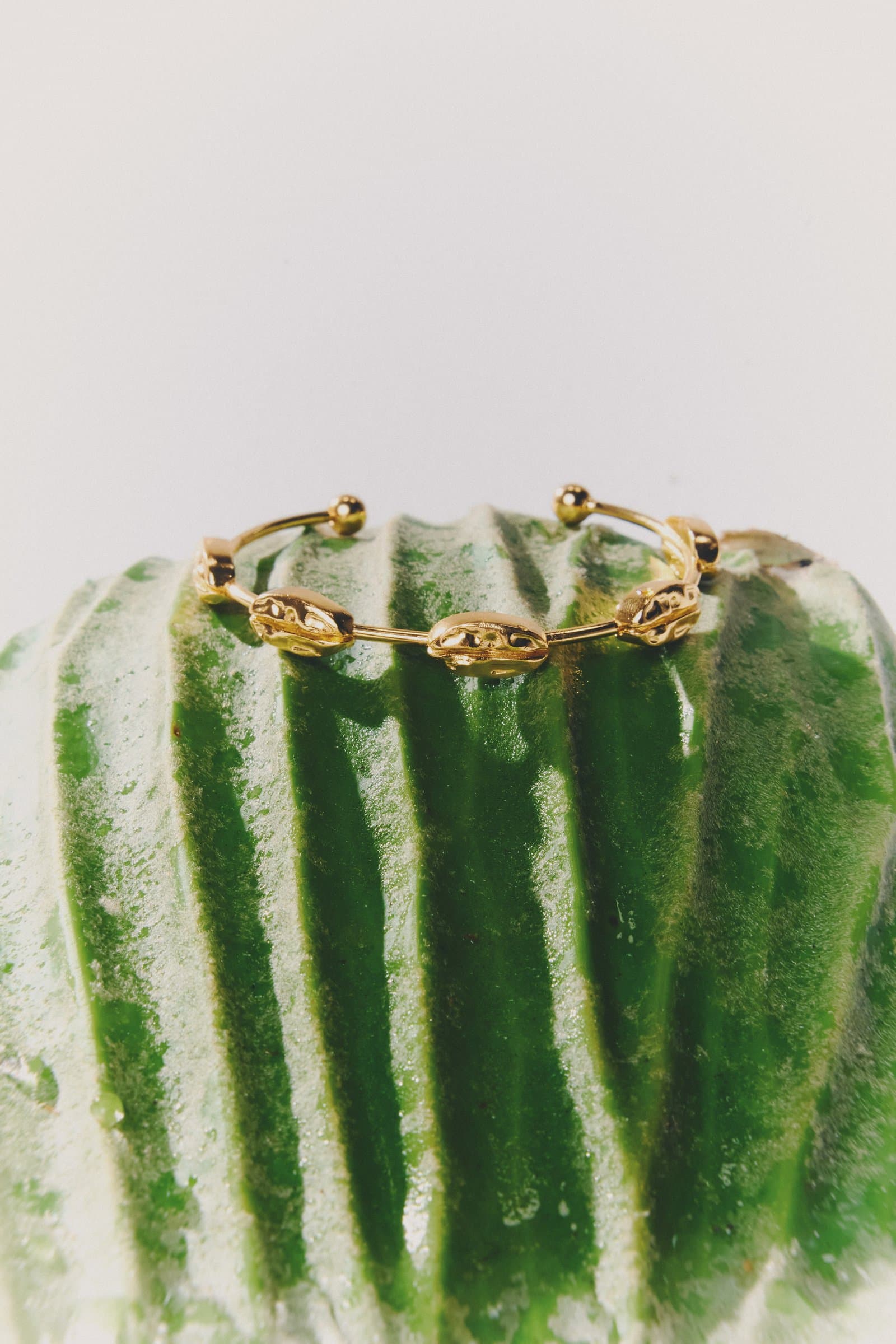 Anillo sobre cactus
