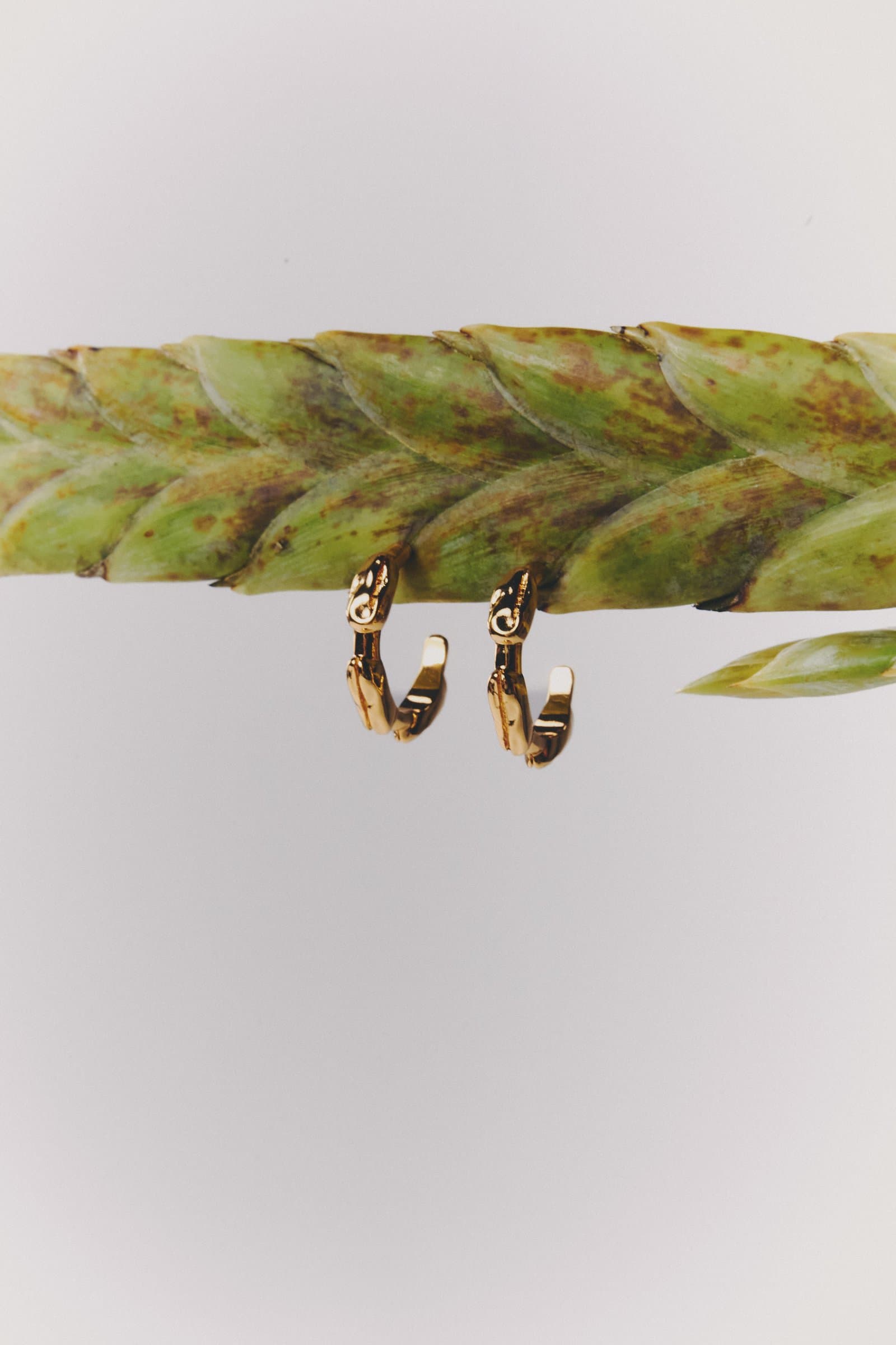 Aretes sobre hoja verde