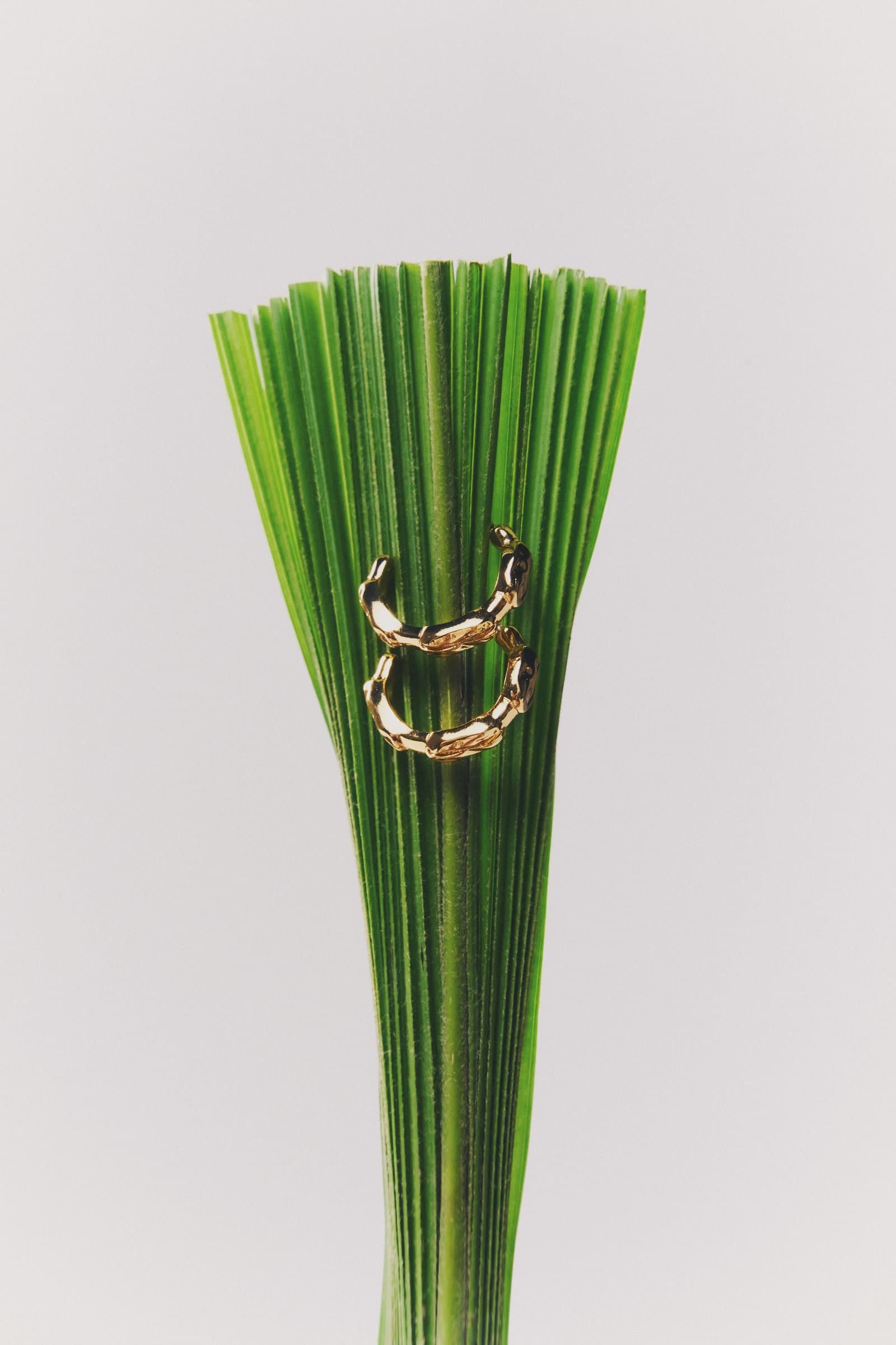 Anillo sobre abanico de palma