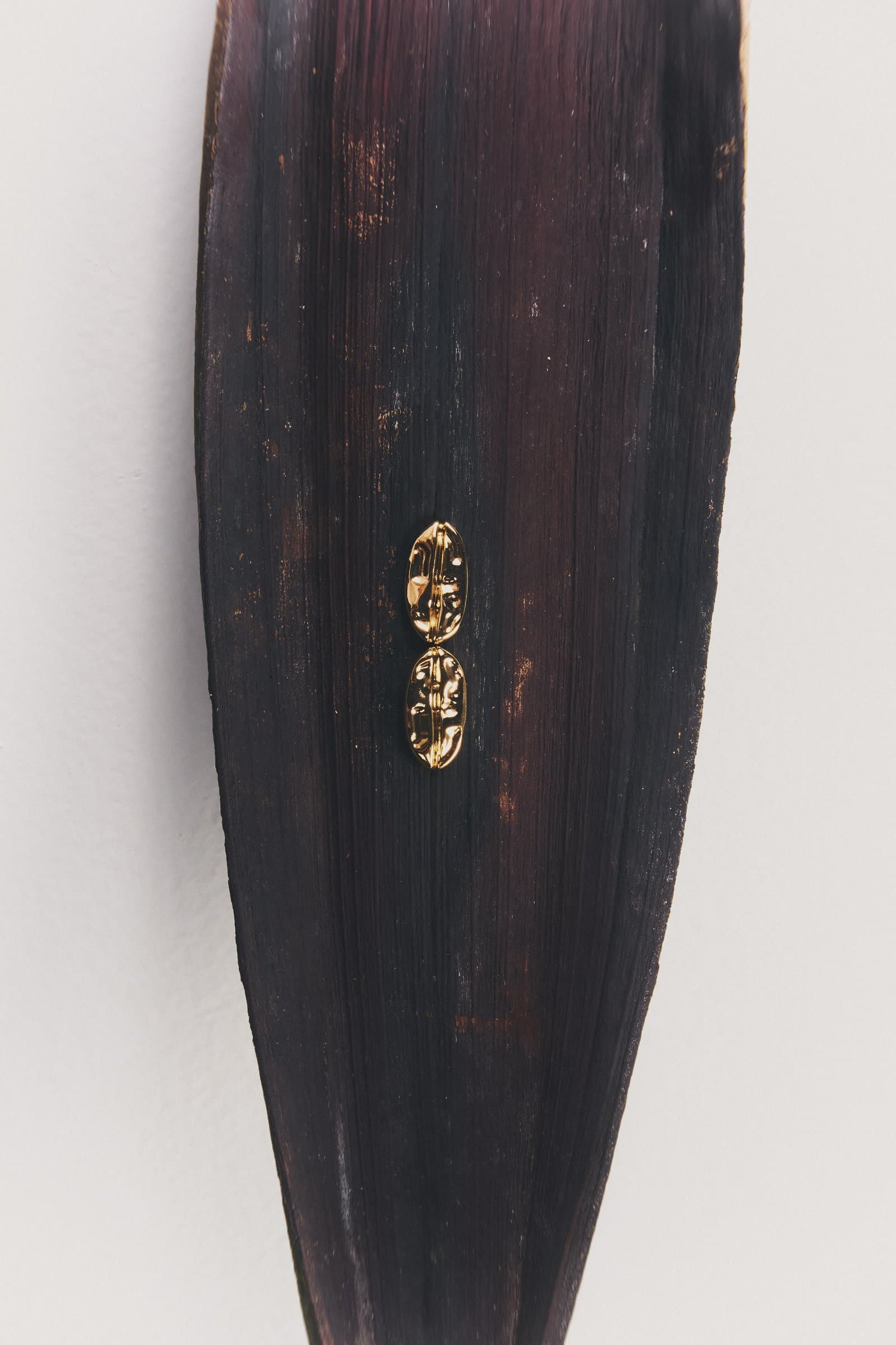 Aretes sobre hoja oscura