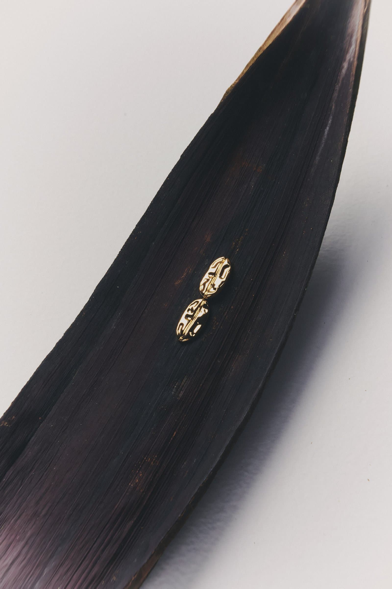 Aretes sobre hoja oscura, detalle